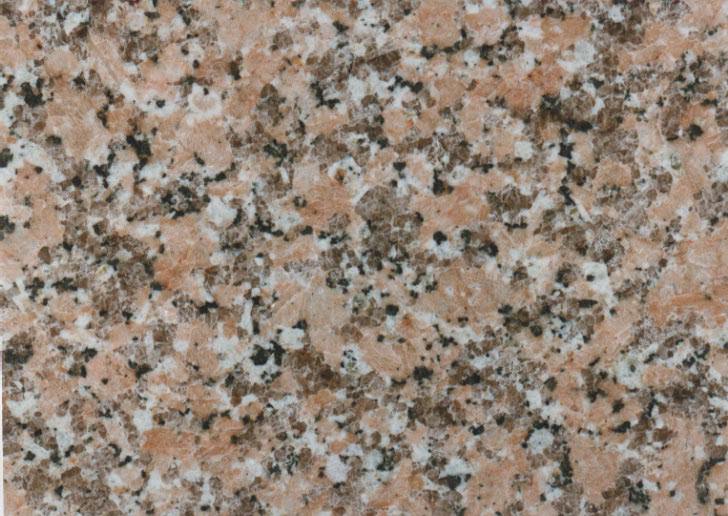 Rosa Porrino