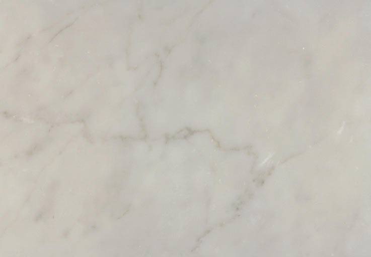 Bianco Statuario Mossa
